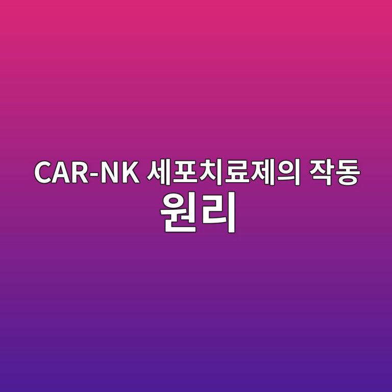 car nk ec84b8ed8facecb998eba38ceca09cec9d98 ec9e91eb8f99 ec9b90eba6ac 1787799866