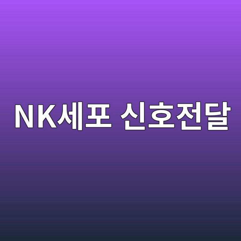 nkec84b8ed8fac ec8ba0ed98b8eca084eb8bac 1787797045