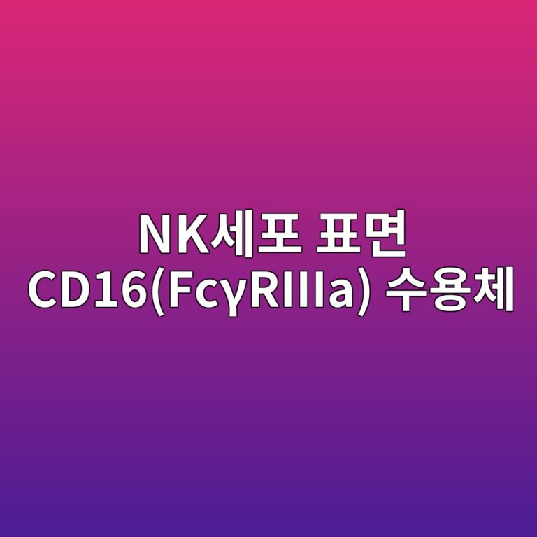 nkec84b8ed8fac ed919ceba9b4 cd16fcceb3riiia ec8898ec9aa9ecb2b4 1787869747