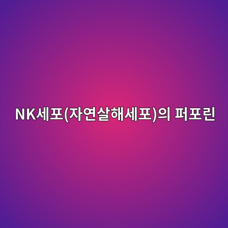 nkec84b8ed8facec9e90ec97b0ec82b4ed95b4ec84b8ed8facec9d98 ed8dbced8faceba6b0 1787808370