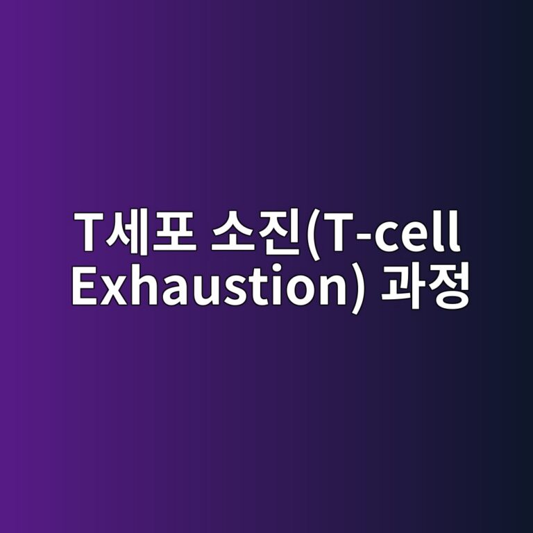 tec84b8ed8fac ec868ceca784t cell exhaustion eab3bceca095 1787808636