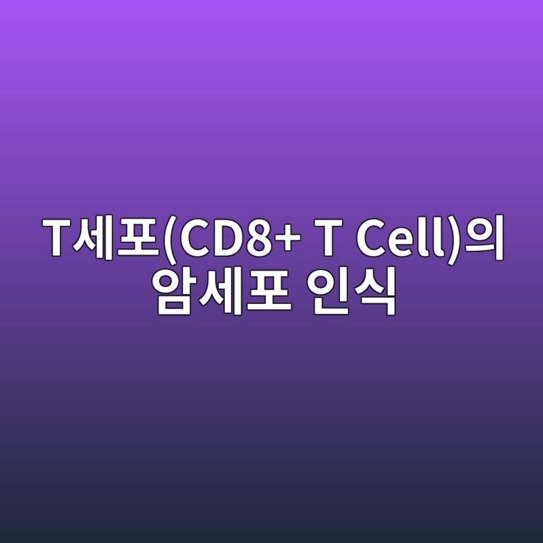 tec84b8ed8faccd8 t cellec9d98 ec9594ec84b8ed8fac ec9db8ec8b9d 1787807589