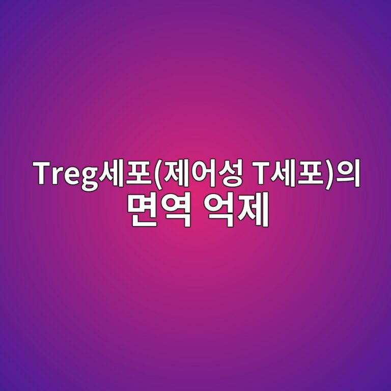 tregec84b8ed8faceca09cec96b4ec84b1 tec84b8ed8facec9d98 eba9b4ec97ad ec96b5eca09c 1787806864