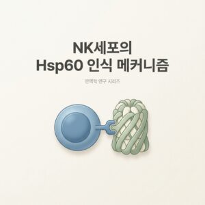 ai thumbnail minimal NK세포의 Hsp60 인식 메커니즘 1788592026