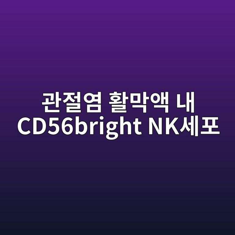 eab480eca088ec97bc ed999ceba789ec95a1 eb82b4 cd56bright nkec84b8ed8fac 1788590108
