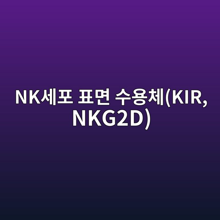 nkec84b8ed8fac ed919ceba9b4 ec8898ec9aa9ecb2b4kir nkg2d 1788590607